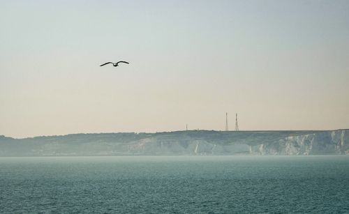Bird flying over the lake against sky