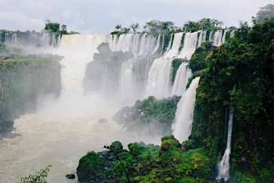 View of waterfall in forest