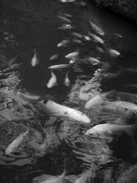 Full frame shot of water