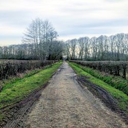 Dirt road amidst field against sky
