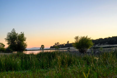 Scenic view of field against clear sky during sunset