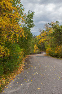 Road amidst trees against sky during autumn