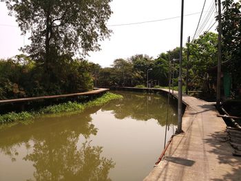 Scenic view of river amidst trees against sky