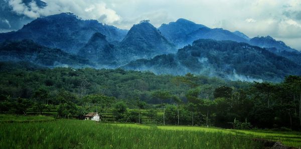 Scenic view of landscape against sky