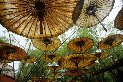 Low angle view of umbrellas hanging outdoors