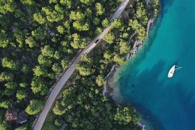 Aerial view of road amidst trees by sea