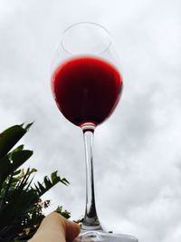 Close-up of hand holding red wine against sky