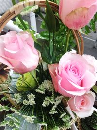 High angle view of pink roses