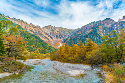 Scenic view of river passing through forest