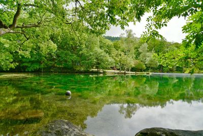 Scenic view of lake