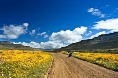 Road amidst field against sky