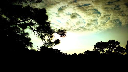 Low angle view of silhouette trees against sky