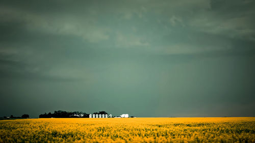 Scenic view of field against sky during sunset