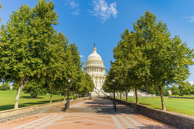 Trees in park with city in background