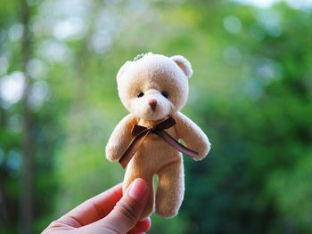 Close-up of hand holding toy