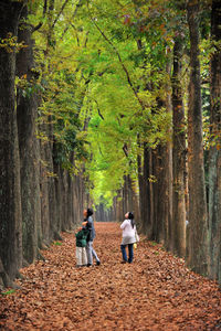 Parents standing with son amidst trees during autumn