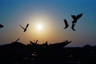 Silhouette birds flying in the sky