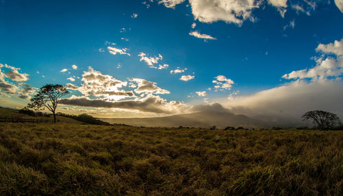 Scenic view of field against blue sky