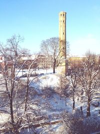 Snow covered trees in winter