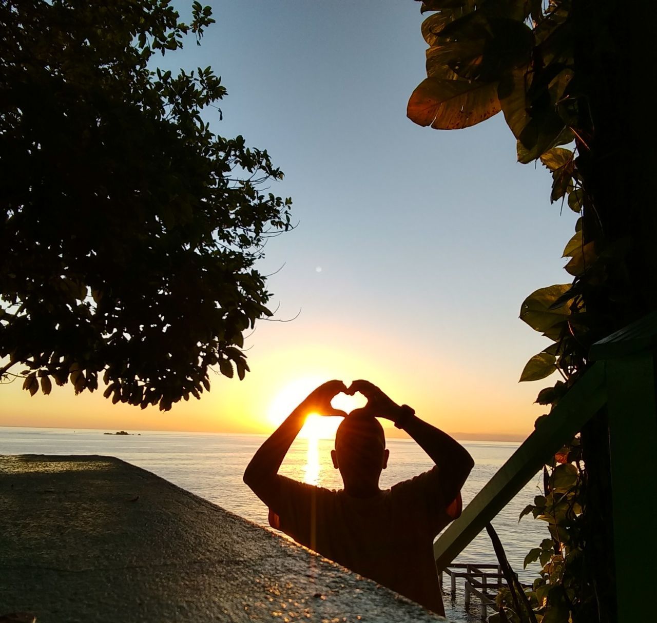 sky, one person, real people, sunset, tree, lifestyles, nature, water, plant, beauty in nature, leisure activity, silhouette, sea, scenics - nature, adult, orange color, tranquility, men, sun, outdoors, hand