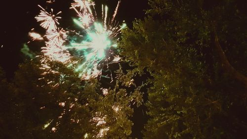 Low angle view of firework display at night