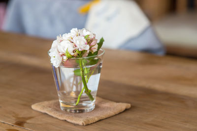 Close-up of white flower on table