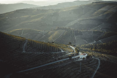 High angle view of agricultural landscape