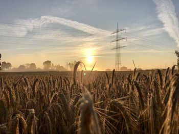 Scenic view of field against sky during sunset