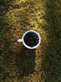 High angle view of coffee cup on grass