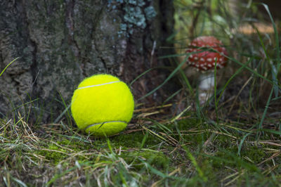 Close-up of ball on field