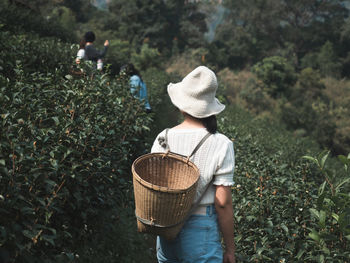 Rear view of woman carrying wicker basket at farm