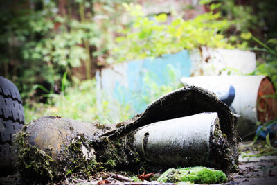Close-up of abandoned pipe in forest