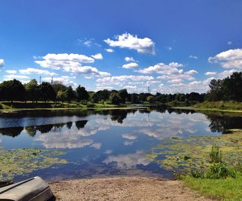 Reflection of trees in calm lake