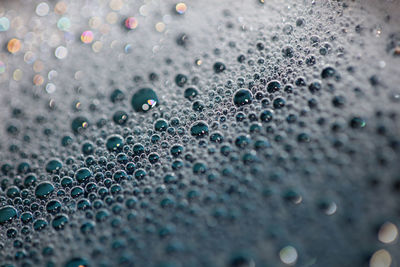 Colorful water bubbles close up modern background high quality big size prints