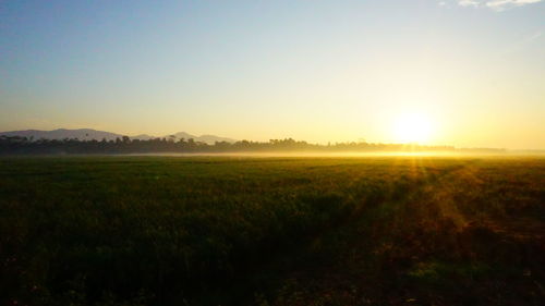 Scenic view of field against clear sky during sunset