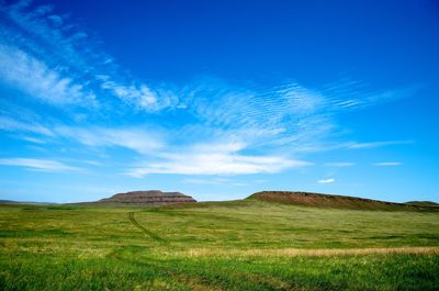 Scenic view of landscape against blue sky