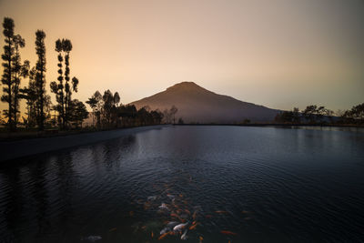 Scenic view of lake against sky during sunset