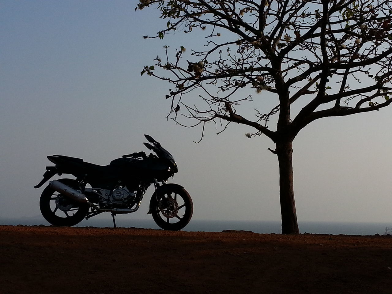 bicycle, transportation, land vehicle, mode of transport, clear sky, riding, tree, cycling, stationary, copy space, road, silhouette, leisure activity, bare tree, parked, lifestyles, street, sky