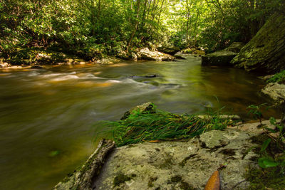 Stream flowing through rocks in forest