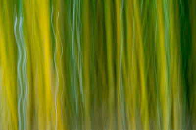 Full frame shot of abstract background