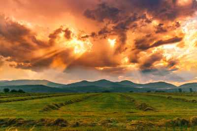 Scenic view of field against sky during sunset