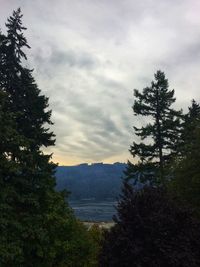 Scenic view of lake by trees against sky