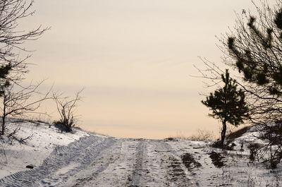 Scenic view of field against sky during winter