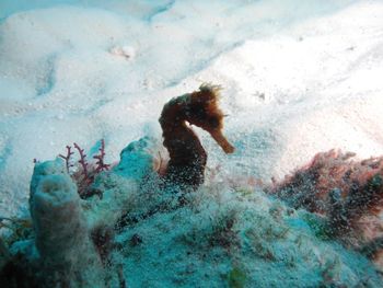 High angle view of man at beach