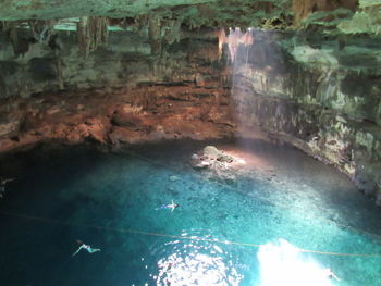 High angle view of cave swimming in sea