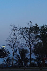 Silhouette of bare trees against sky