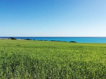Scenic view of sea against clear sky