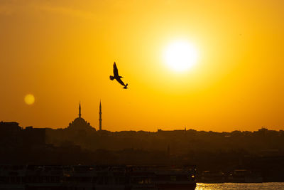 A bird and a silhouette of a mosque at sunset in istanbul