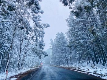 Road amidst trees during winter