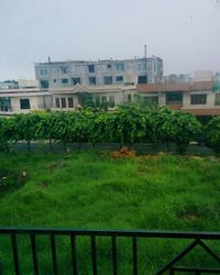 View of residential buildings against sky